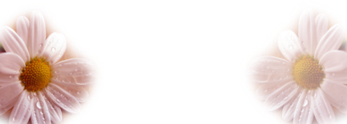 Цветы PNG