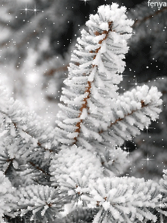 50 (240x320, 126Kb)