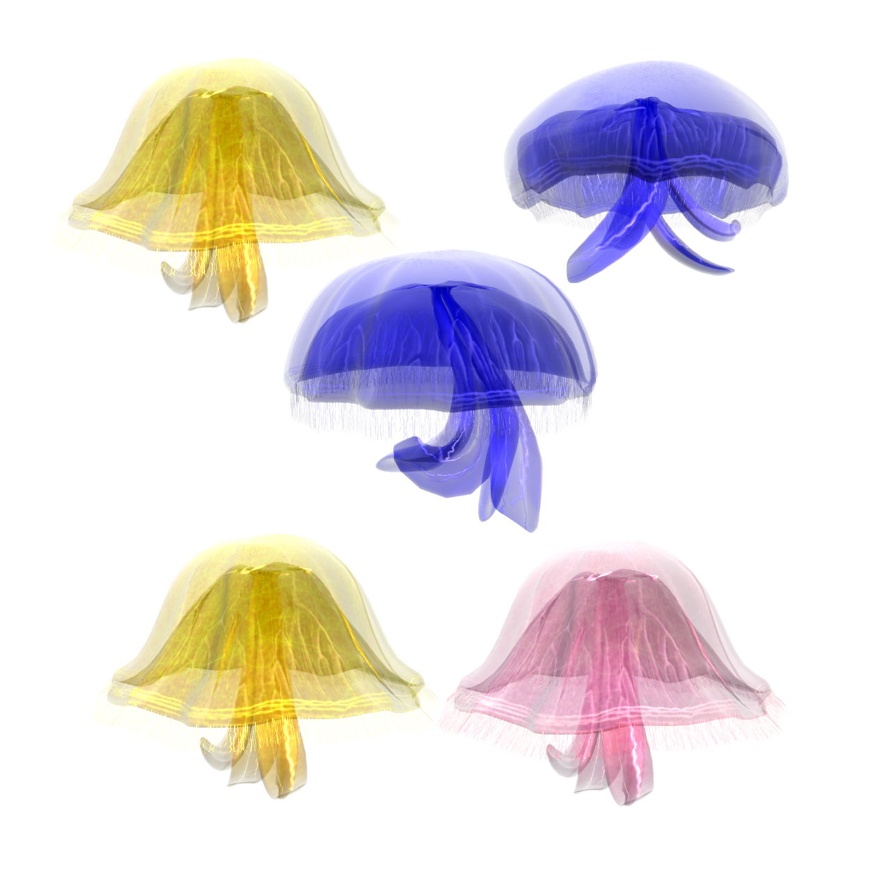 Морской зонтик. Шапка медуза. Шляпки медузы. Шляпа медуза. Медуза на прозрачном фоне.